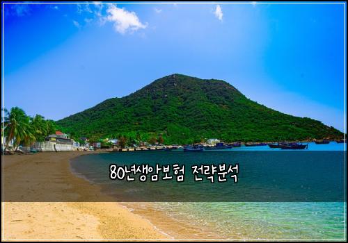 80년생암보험 전략분석 