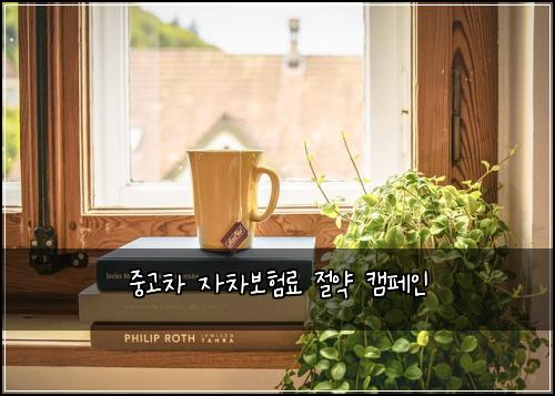 중고차 자차보험료 절약 캠페인