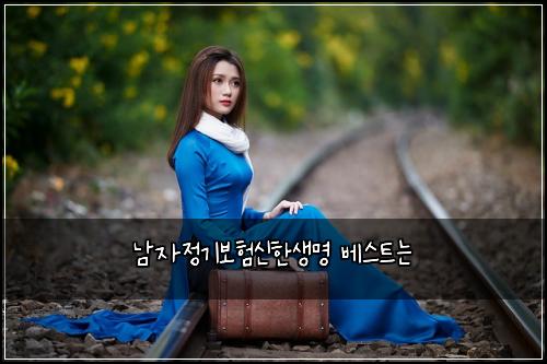 남자정기보험신한생명 베스트는
