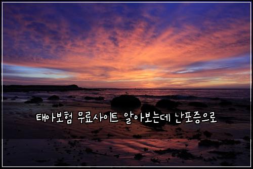 ํ์๋ณดํ ๋ฌด๋ฃ์ฌ์ดํธ ์์๋ณด๋๋ฐ ๋ํฌ์ฆ์ผ๋ก
