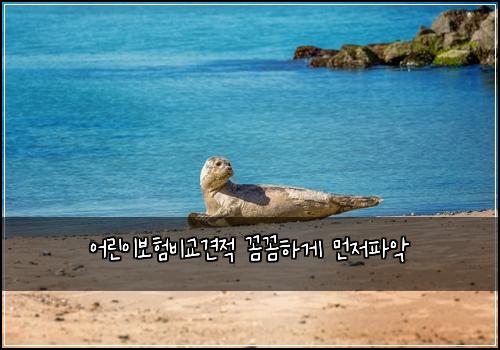 어린이보험비교견적 꼼꼼하게 먼저파악