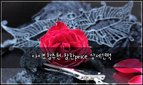 아이보험추천 참한price 상세견적