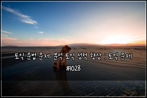 토익 문법 문제 분석 토익 성적 향상 : 토익 문제 #1028