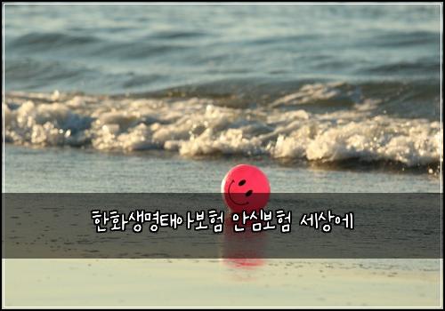 ํํ์๋ช
ํ์๋ณดํ ์์ฌ๋ณดํ ์ธ์์
