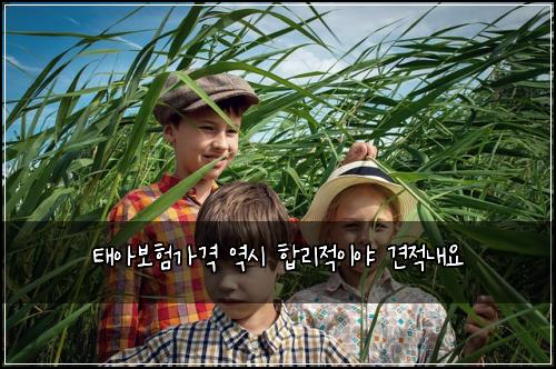 ํ์๋ณดํ๊ฐ๊ฒฉ ์ญ์ ํฉ๋ฆฌ์ ์ด์ผ ๊ฒฌ์ ๋ด์