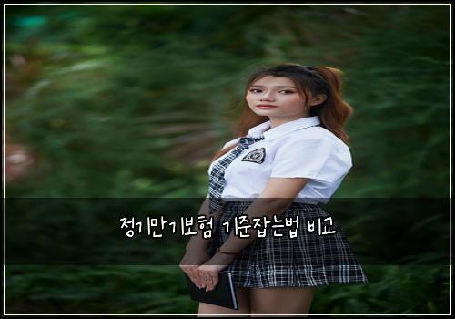 정기만기보험 기준잡는법  비교