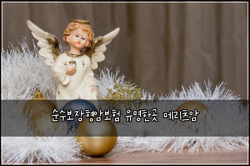 순수보장형암보험 유명한곳 메리츠암