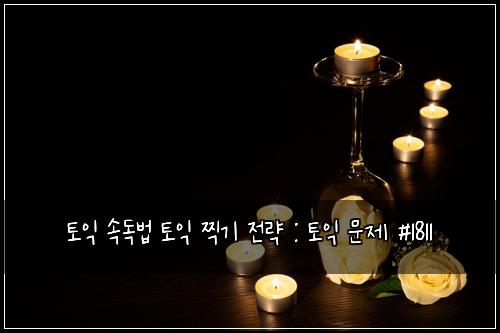토익 속독법 토익 찍기 전략 : 토익 문제 #1811