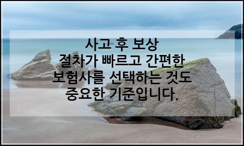 오늘의 이미지