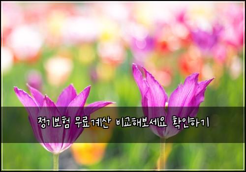 ์ ๊ธฐ๋ณดํ ๋ฌด๋ฃ๊ณ์ฐ ๋น๊ตํด๋ณด์ธ์ ํ์ธํ๊ธฐ