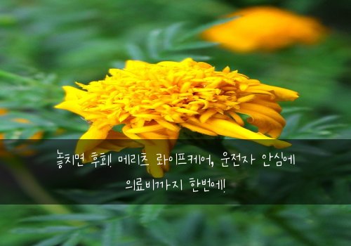  놓치면 후회! 메리츠 롸이프케어, 운전자 안심에 의료비까지 한번에!