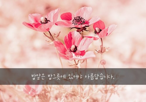 밥알은 밥그릇에 있어야 아름답습니다.