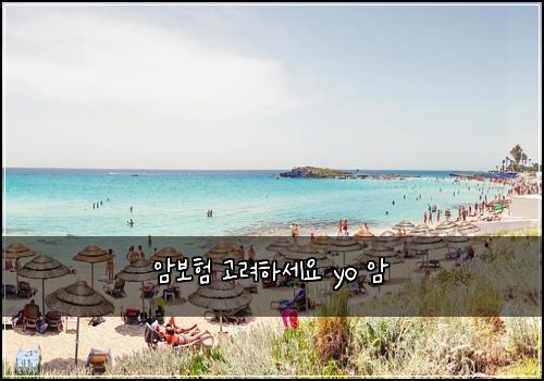암보험 고려하세요  yo 암