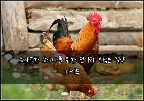  스마트한 소비자를 위한 전기차 보험료 절약 가이드