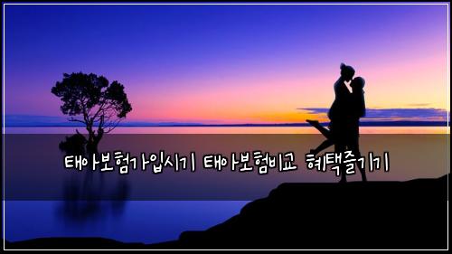 ํ์๋ณดํ๊ฐ์
์๊ธฐ ํ์๋ณดํ๋น๊ต ํํ์ฆ๊ธฐ๊ธฐ