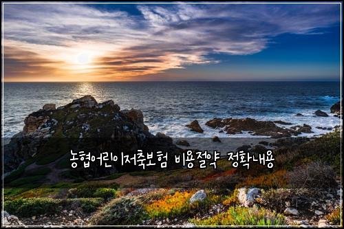 농협어린이저축보험 비용절약 정확내용