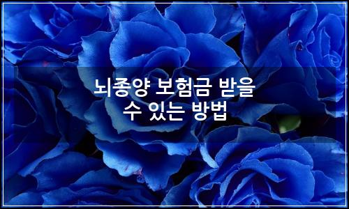 오늘의 이미지