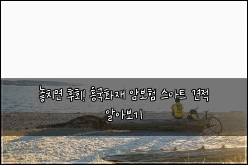  놓치면 후회! 흥국화재 암보험 스마트 견적 알아보기