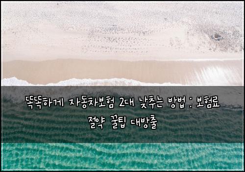  똑똑하게 자동차보험 2대 낮추는 방법 : 보험료 절약 꿀팁 대방출