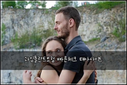 과임플란트보험 빠른체크  태아사이트
