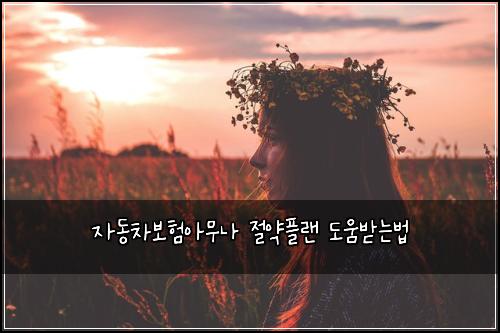 ์๋์ฐจ๋ณดํ์๋ฌด๋ ์ ์ฝํ๋ ๋์๋ฐ๋๋ฒ