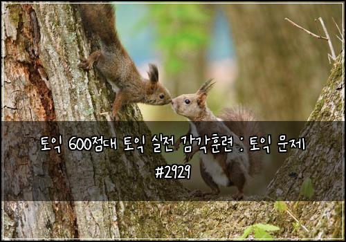 토익 600점대 토익 실전 감각훈련 : 토익 문제 #2929