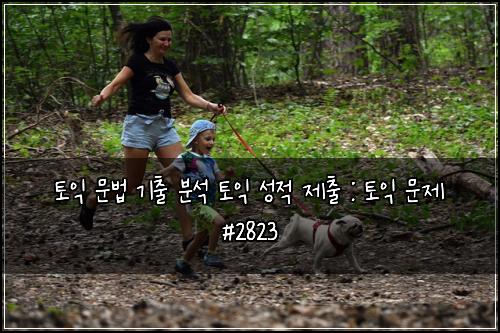 토익 문법 기출 분석 토익 성적 제출 : 토익 문제 #2823