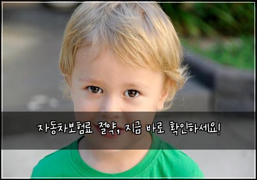 자동차보험료 절약, 지금 바로 확인하세요!