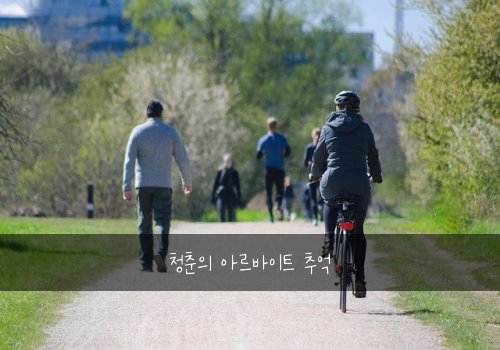 청춘의 아르바이트 추억