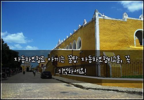 자동차보험료 아끼는 꿀팁: 자동차보험비교몰, 꼭 기억하세요!