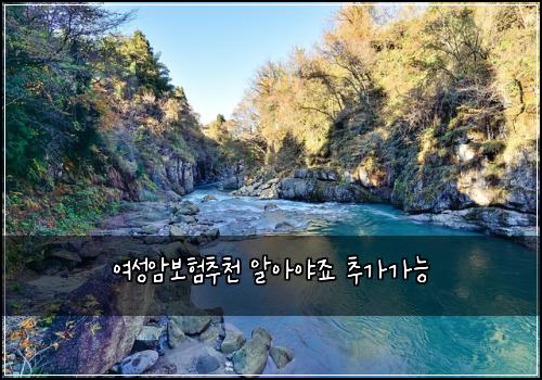 μ¬μ±μ보νμΆμ² μμμΌμ£ μΆκ°κ°λ₯