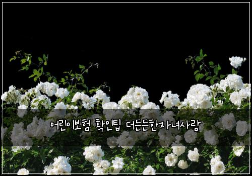 ์ด๋ฆฐ์ด๋ณดํ ํ์ธํ ๋๋ ๋ ํ์๋
์ฌ๋