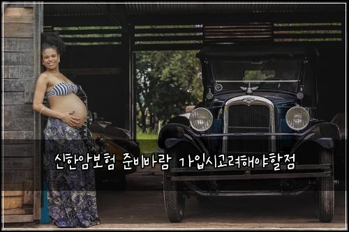신한암보험 준비바람  가입시고려해야할점