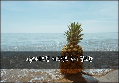aigνμ보ν 체ν¬μ 보 νΉμ νμν