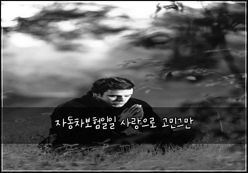 ์๋์ฐจ๋ณดํ์ผ์ผ ์ฌ๋์ผ๋ก ๊ณ ๋ฏผ๊ทธ๋ง