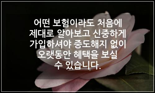 오늘의 이미지