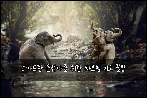  스마트한 운전자를 위한 차보험 비교 꿀팁