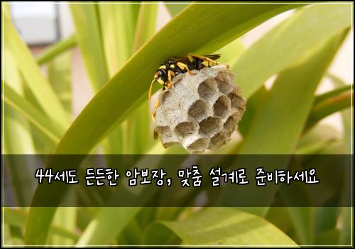 44세도 든든한 암보장, 맞춤 설계로 준비하세요