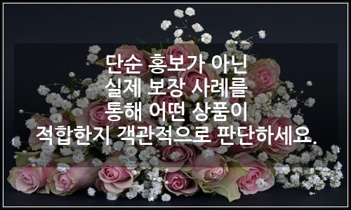 오늘의 이미지