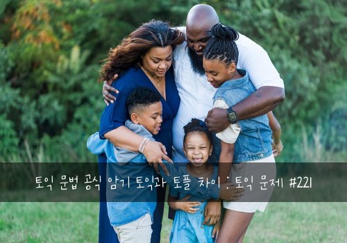 토익 문법 공식 암기 토익과 토플 차이 : 토익 문제 #221