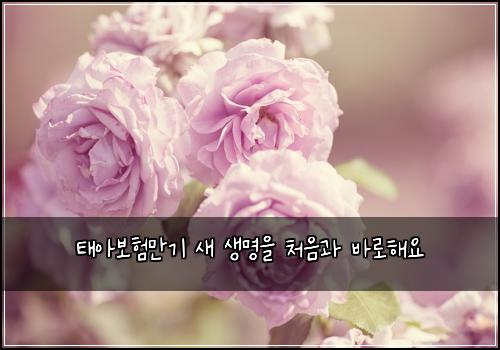 태아보험만기 새 생명을 처음과 바로해요