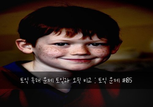 토익 독해 문제 토익과 오픽 비교 : 토익 문제 #185