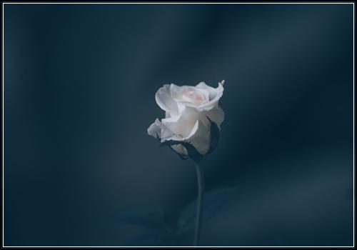 ํ ์ต ๋ฉํ ๊ด๋ฆฌ ํ ์ต ๋ฐ์ : ํ ์ต ๋ฌธ์ #99_99