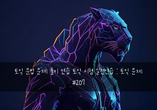 토익 문법 문제 풀이 연습 토익 시험 실전연습 : 토익 문제 #207