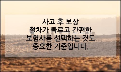 오늘의 이미지
