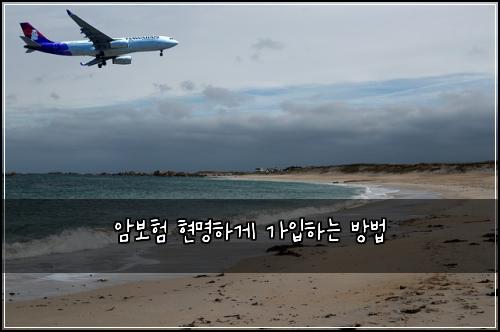 암보험 현명하게 가입하는 방법