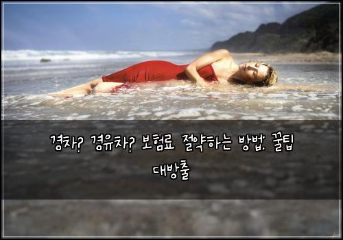 경차🚗 경유차💨 보험료 절약하는 방법: 꿀팁 대방출
