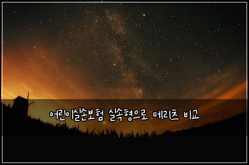 어린이실손보험 실속형으로  메리츠 비교