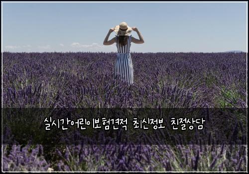 실시간어린이보험견적 최신정보 친절상담