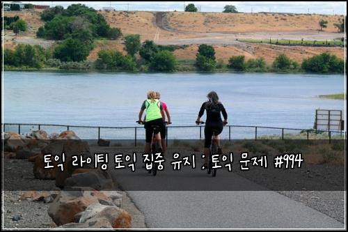 토익 라이팅 토익 집중 유지 : 토익 문제 #994